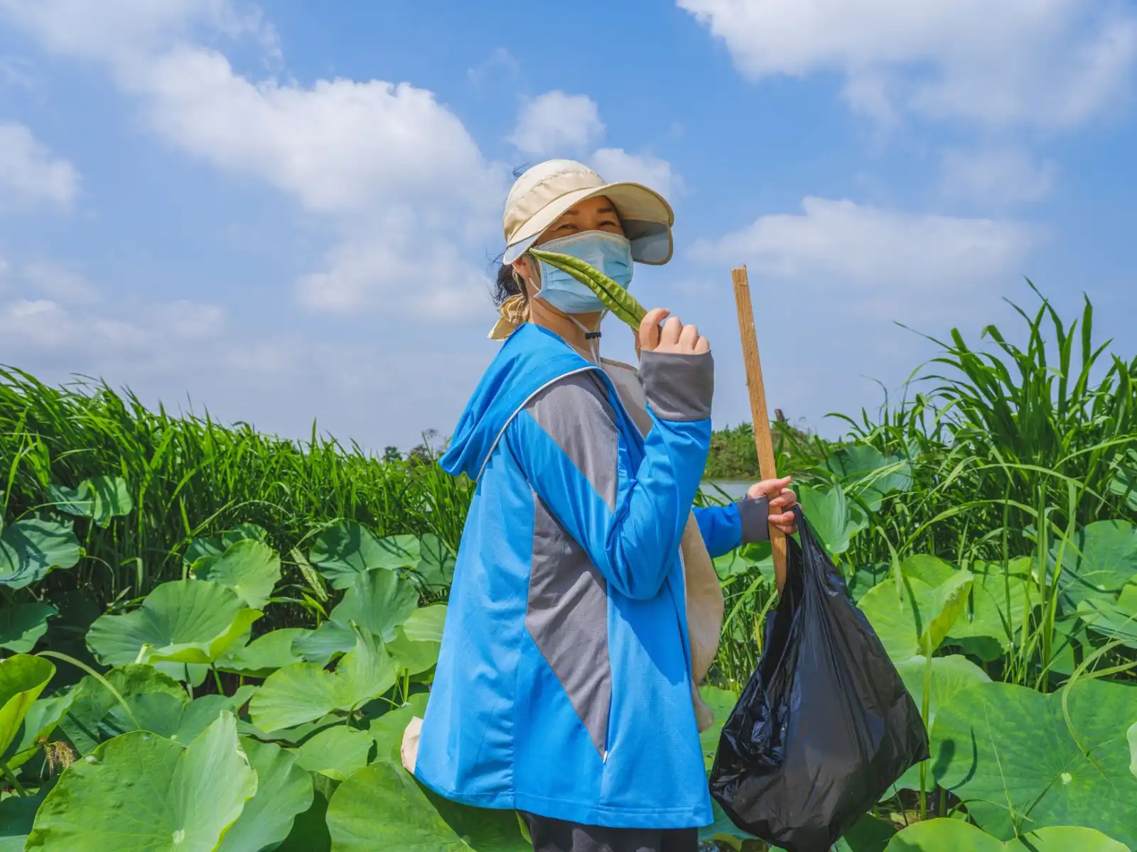 清远有机种植技术集成方案在特色农产品开发中的应用实践