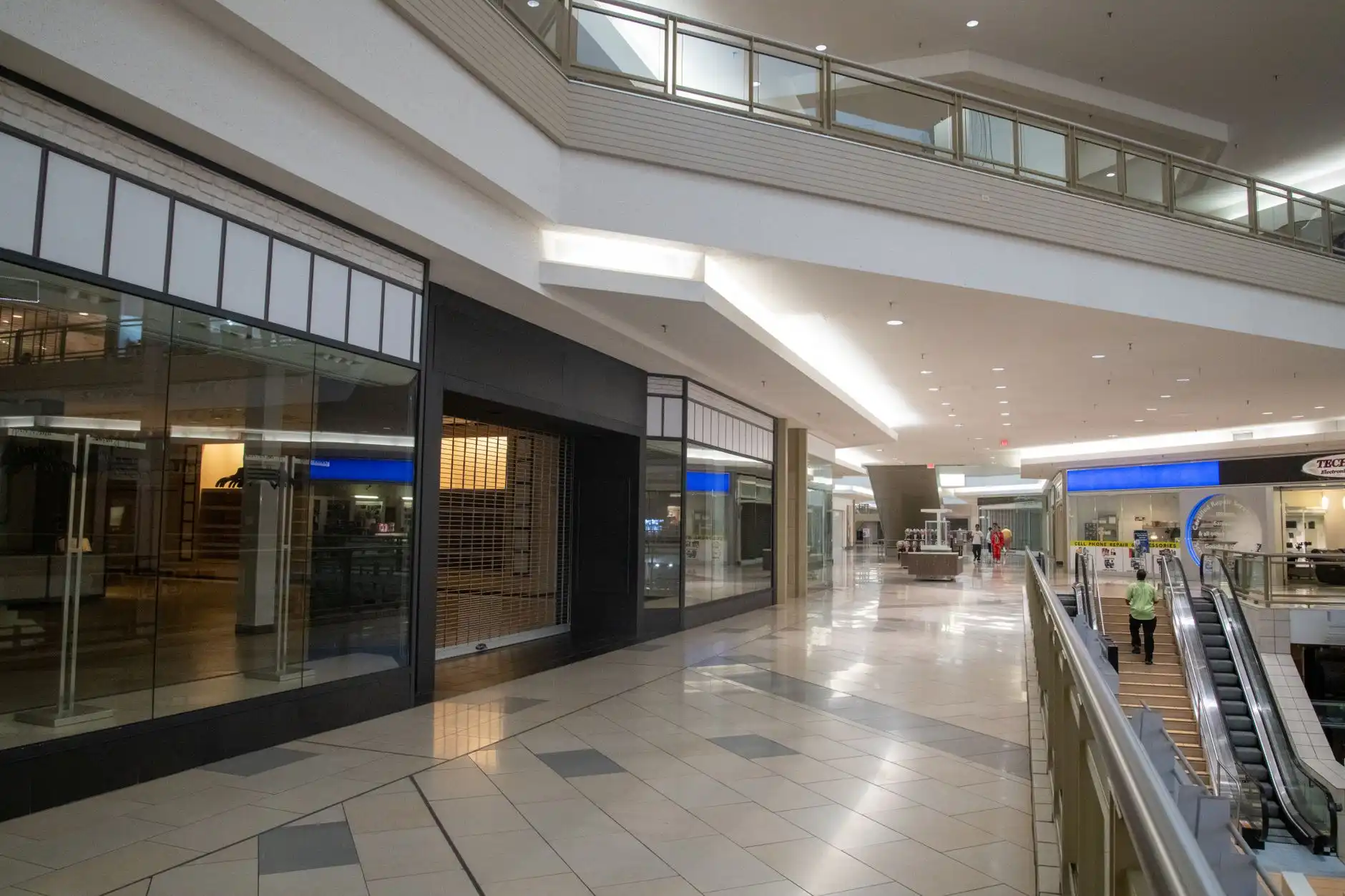 清远有机种植土壤改良关键技术要点解析