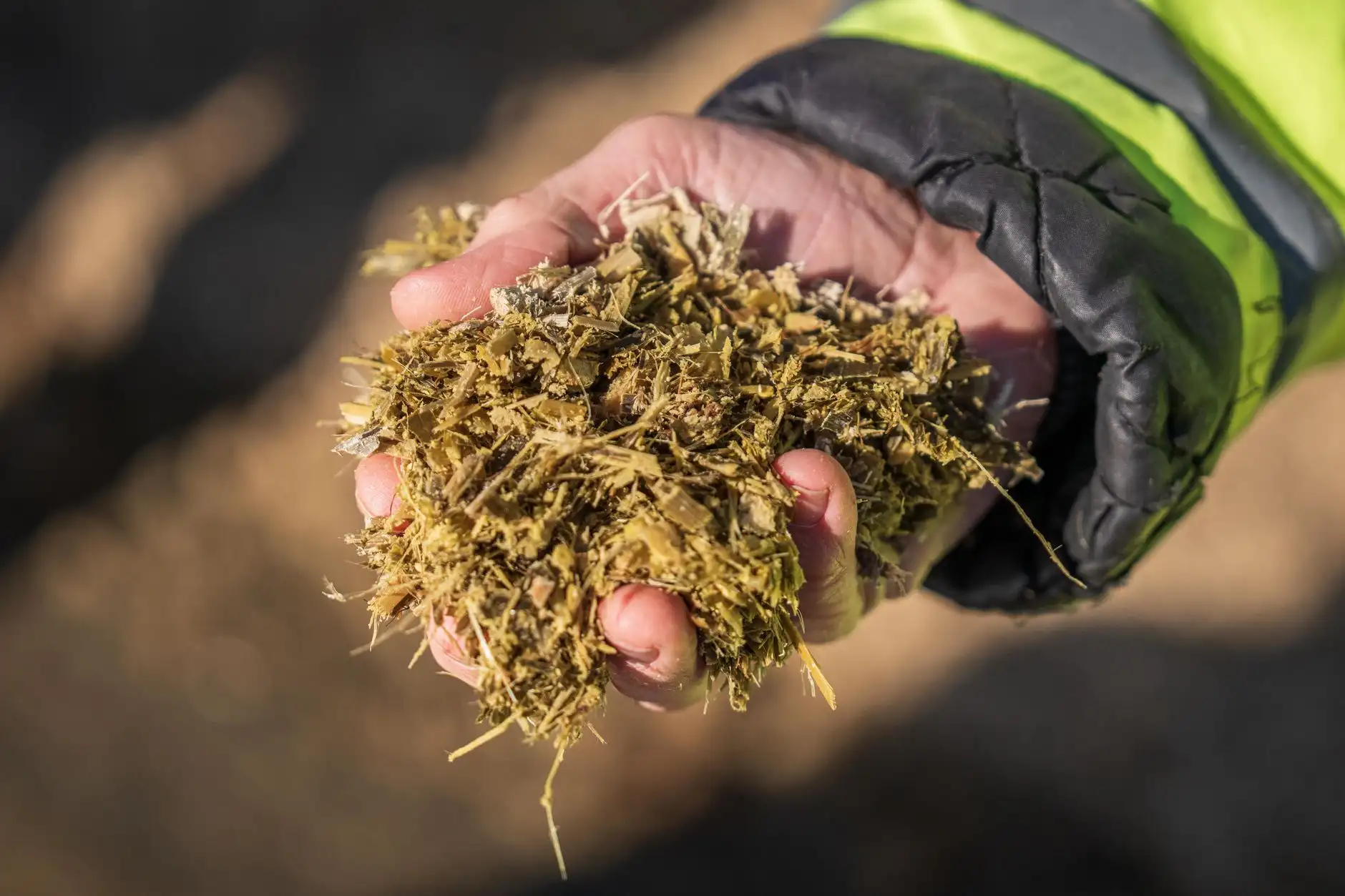 清远有机种植技术落地实践：柠香农业科技助力农产品品质提升正文配图 1