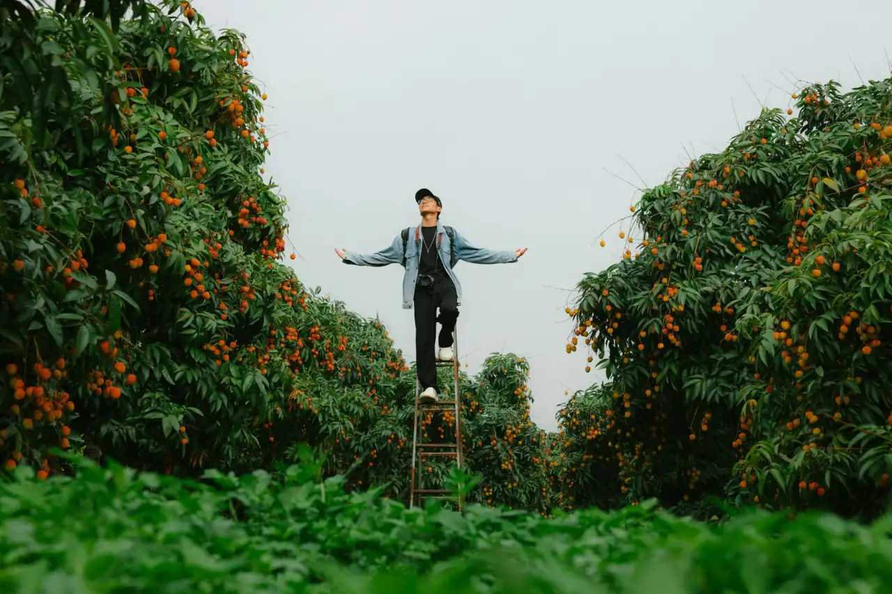 清远柠香有机种植技术体系在本地特色农产品开发中的应用解析