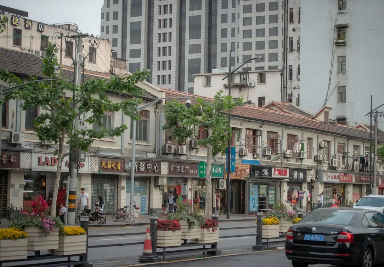 有机农业技术对比：清远柠檬种植与传统农法的成本与效益分析