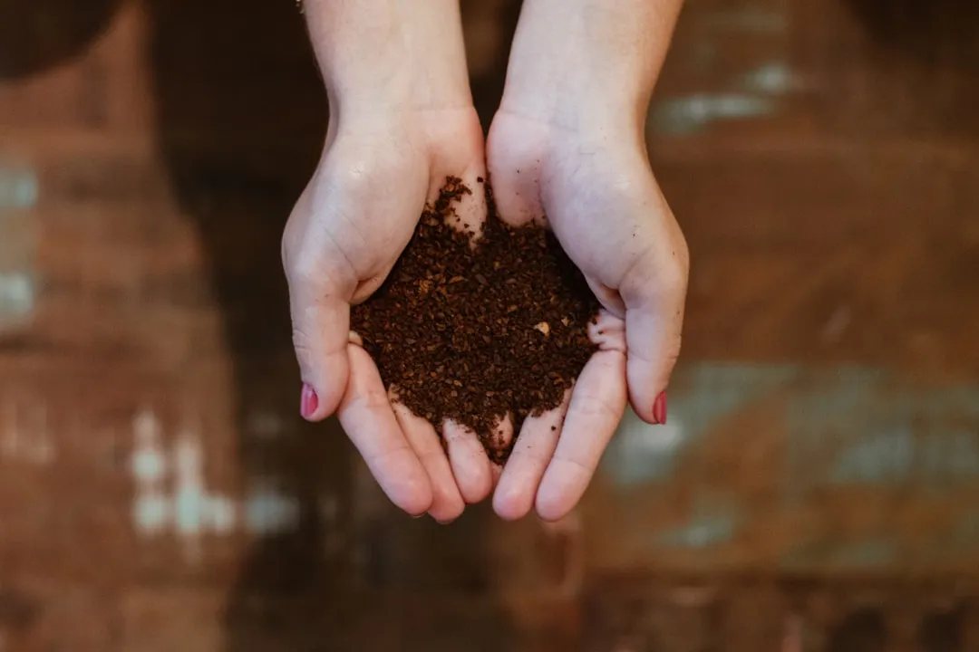 有机种植土壤改良关键技术及清远地区应用要点正文配图 1