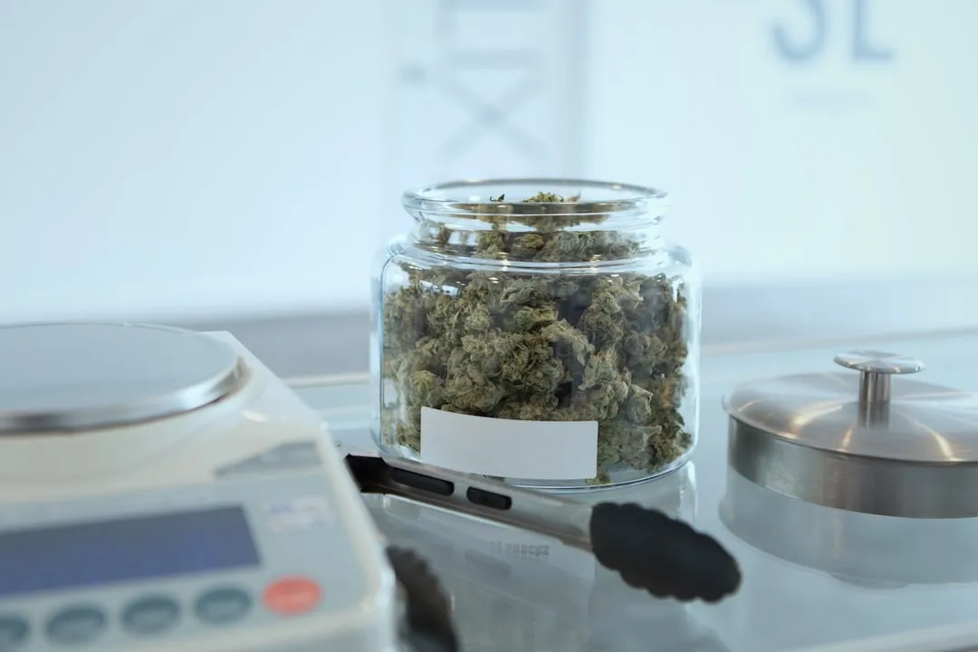 清远柠香有机种植方案技术优势解析