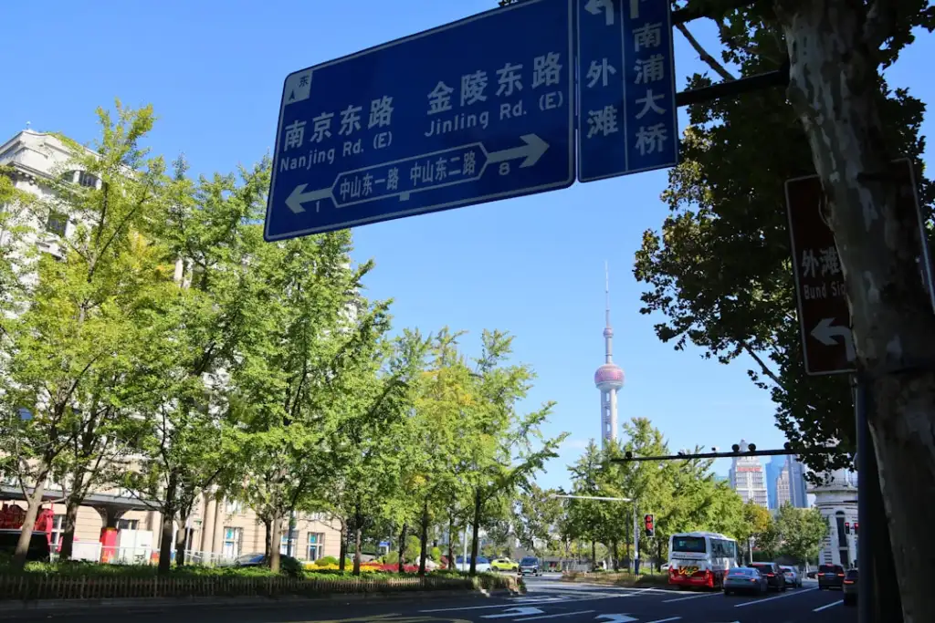 清远有机种植技术要点与柠檬品质提升实践分析