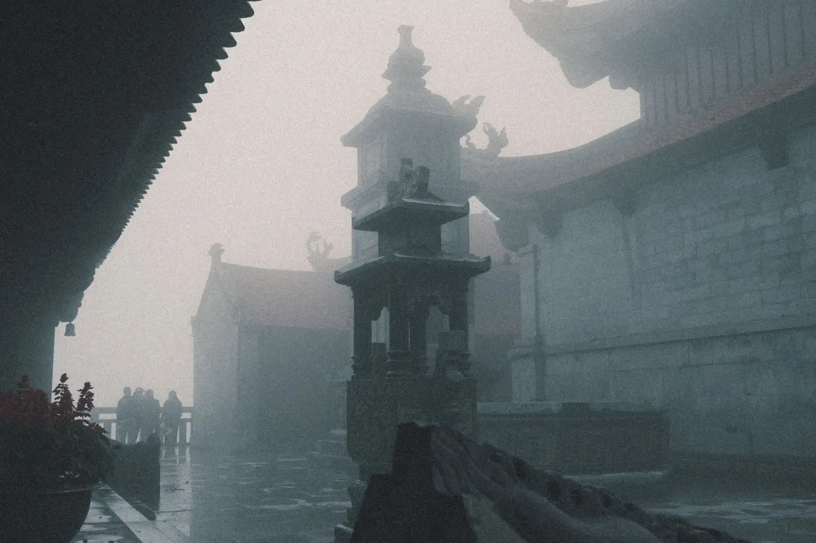 清远有机种植技术要点与农产品品质提升路径分析