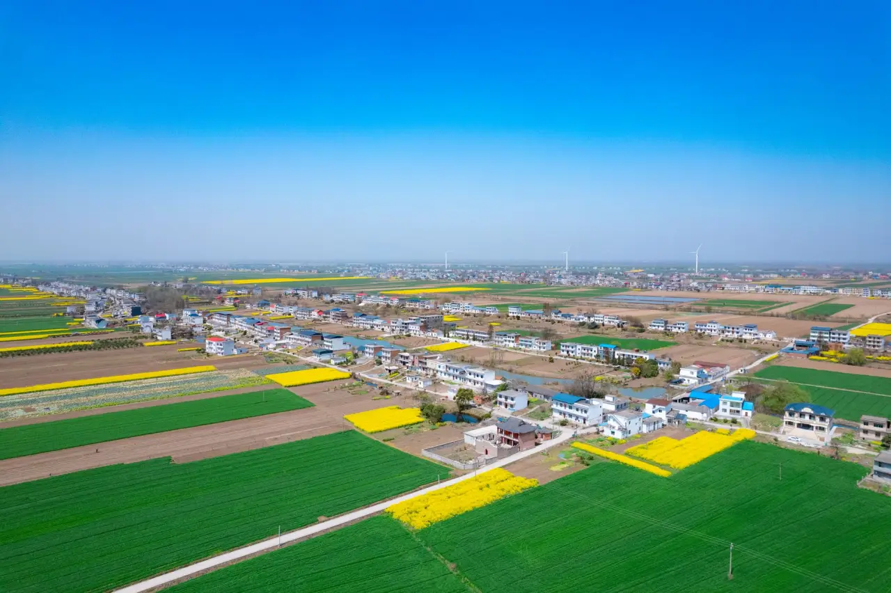 2024年清远地区有机农产品种植方案选型对比研究