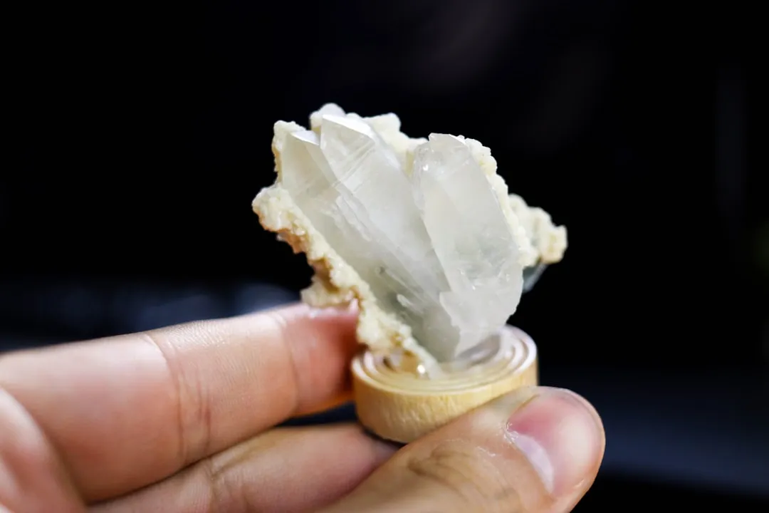 清远农业科技企业分享：有机种植技术如何提升农产品品质与市场竞争力正文配图 2