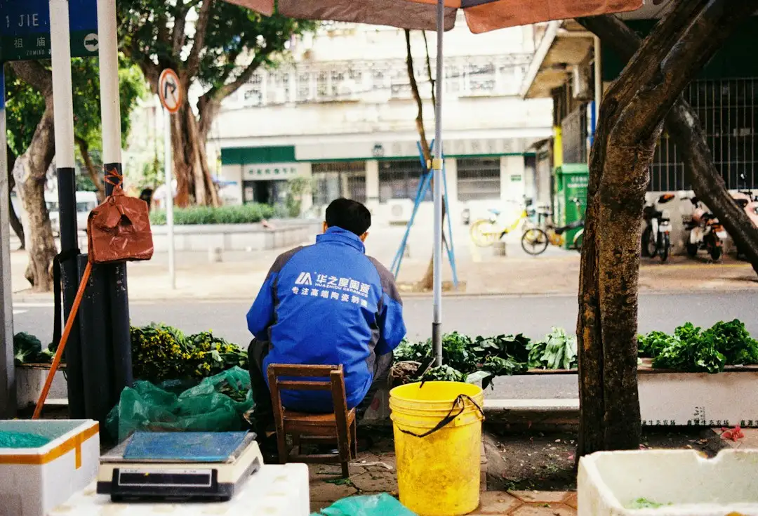 从土壤改良到品质提升：清远有机农业技术服务的实践路径正文配图 1